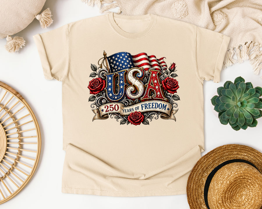 USA 250 Years Of Freedom graphic tee in Ivory