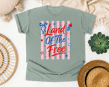 Land Of The Free graphic tee in Bay