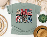 America Grey 5 graphic tee in Bay