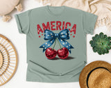 America Red 2 graphic tee in Bay