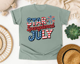 Star Spangled July Grey graphic tee in Bay