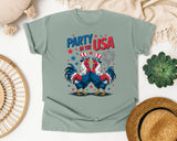 Party In The USA Grey 2 graphic tee in Bay