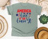 America Love It Or Leave It graphic tee in Bay