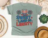 Sweet Land Of Liberty Grey 3 graphic tee in Bay