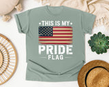 This Is My Pride Flag graphic tee in Bay