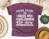 Please Excuse The Mess My Children Are Now Homeschool graphic tee in Berry