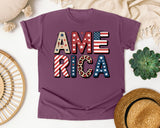 America Grey 5 graphic tee in Berry