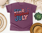 Star Spangled July Grey graphic tee in Berry