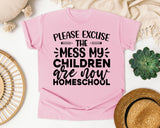 Please Excuse The Mess My Children Are Now Homeschool graphic tee in Blossom