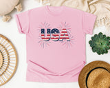 USA Grey graphic tee in Blossom