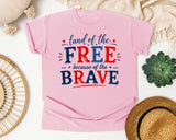 Land Of The Free Because Of The Brave Grey graphic tee in Blossom