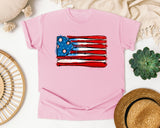 Baseball Bats American Flag graphic tee in Blossom