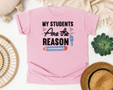 My Students Are The Reason Pencil graphic tee in Blossom