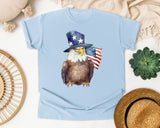 Eagle With Flag Hat graphic tee in Chambray