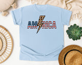 America Grey 2 graphic tee in Chambray