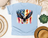 Eagle American Flag Grey graphic tee in Chambray