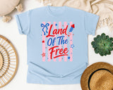 Land Of The Free graphic tee in Chambray