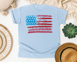 Star Spangled Banner Flag graphic tee in Chambray