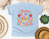 Teaching Tiny Humans To Do Big Things graphic tee in Chambray