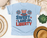 Sweet Land Of Liberty Grey 3 graphic tee in Chambray