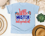Little Mister Independent graphic tee in Chambray