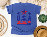 USA Independence Day graphic tee in Flo Blue