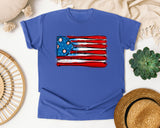 Baseball Bats American Flag graphic tee in Flo Blue