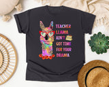 Teacher Llama Ain't Got Time For Your Drama graphic tee in Graphite