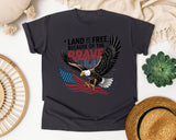 Land Of The Free Because Of The Brave Black graphic tee in Graphite