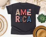 America Grey 5 graphic tee in Graphite