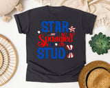 Star Spangled Stud graphic tee in Graphite