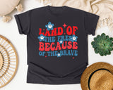 Land Of The Free Because Of The Brave Red graphic tee in Graphite