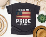 This Is My Pride Flag graphic tee in Graphite