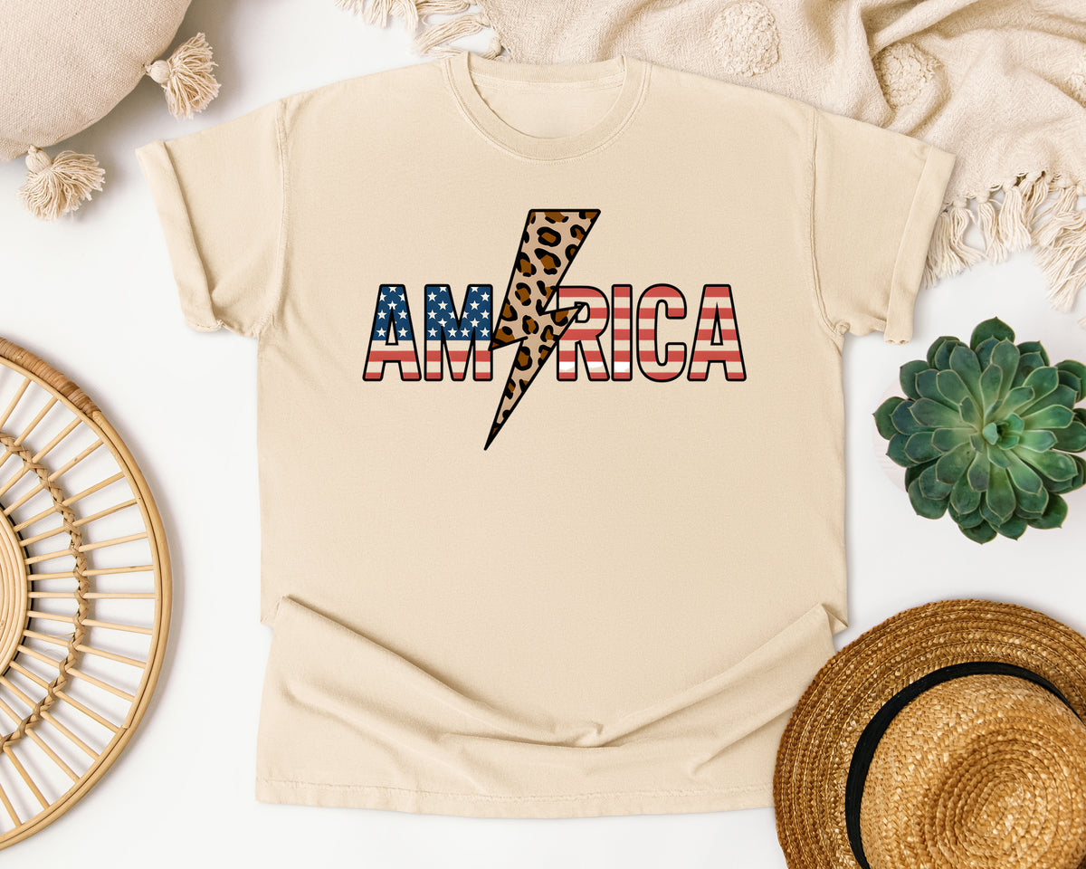 America Grey 2 graphic tee in Ivory
