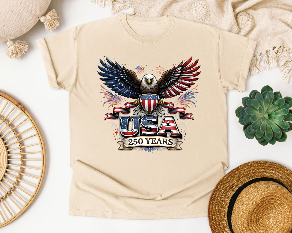 USA 250 Years graphic tee in Ivory