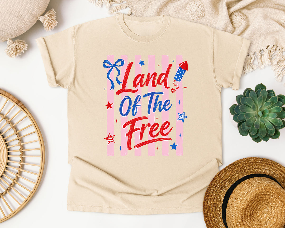 Land Of The Free graphic tee in Ivory