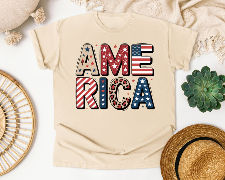 America Grey 5 graphic tee in Ivory