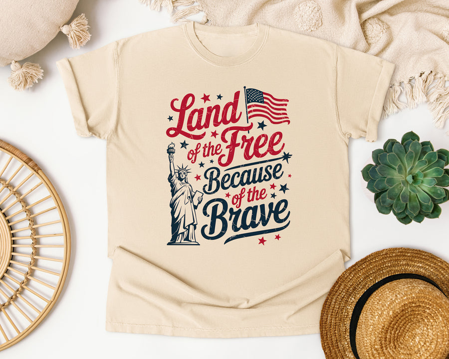Land Of The Free Because Of The Brave Grey 2 graphic tee in Ivory