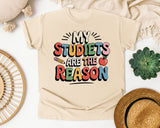 My Students Are The Reason Grey graphic tee in Ivory