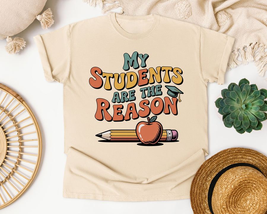 My Students Are The Reason Grey 2 graphic tee in Ivory