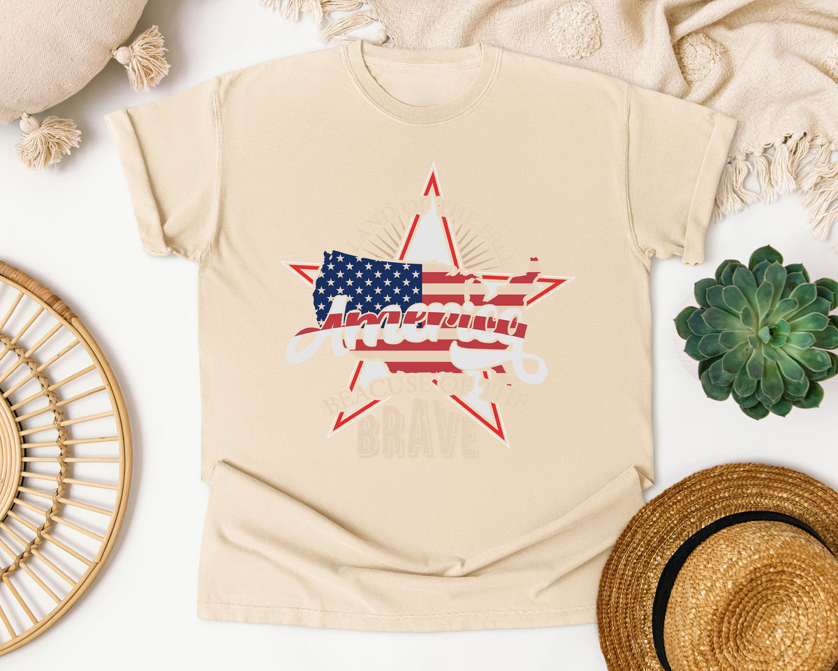 Home Of The Brave graphic tee in Ivory