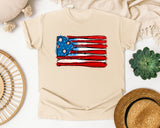 Baseball Bats American Flag graphic tee in Ivory