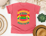 Watermelon Comfort Colors t-shirt