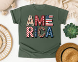 America Grey 5 graphic tee in Moss
