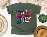 Star Spangled July Grey graphic tee in Moss
