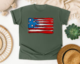 Baseball Bats American Flag graphic tee in Moss