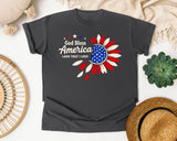 God Bless America Land That I Love Red graphic tee in Pepper