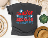 Land Of The Free Because Of The Brave Red graphic tee in Pepper