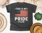 This Is My Pride Flag graphic tee in Pepper
