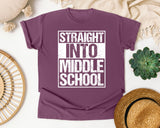 Straight Into Middle School Light Print in Berry Comfort Colors 1717 tee